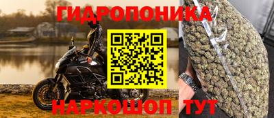 стафф Малгобек