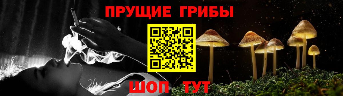 Галлюциногенные грибы прущие грибы Долгопрудный